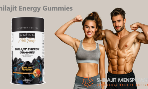 Shilajit Energy Gummies